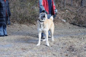 15931_209317630038_1256419_n