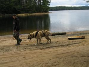 303466_10151040042555039_627903135_n