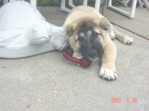 373_42503015038_6368_n