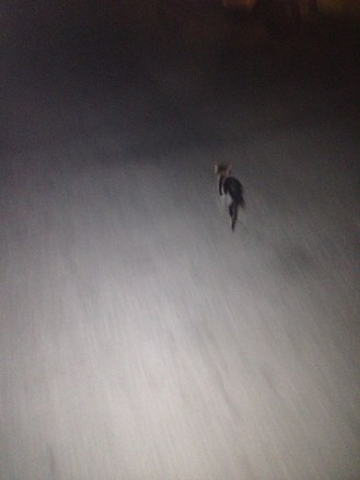 Photo Aug 14, 5 31 34 PM