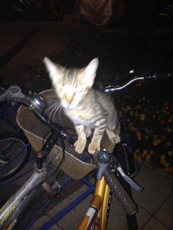 Photo Aug 14, 5 34 29 PM