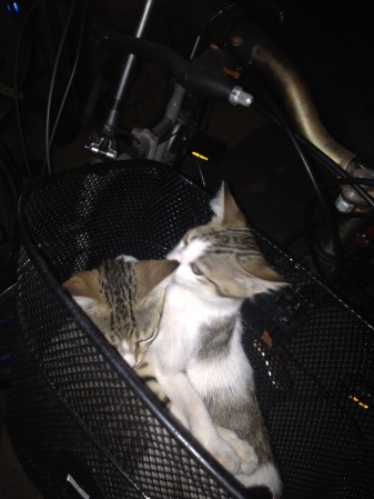 Photo Aug 14, 5 34 48 PM