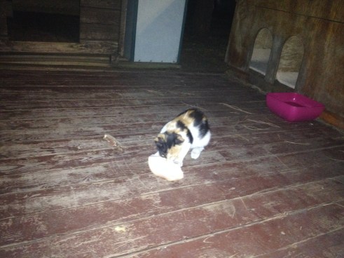 Photo Aug 14, 5 35 51 PM