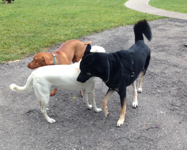 FullSizeRender copy 5